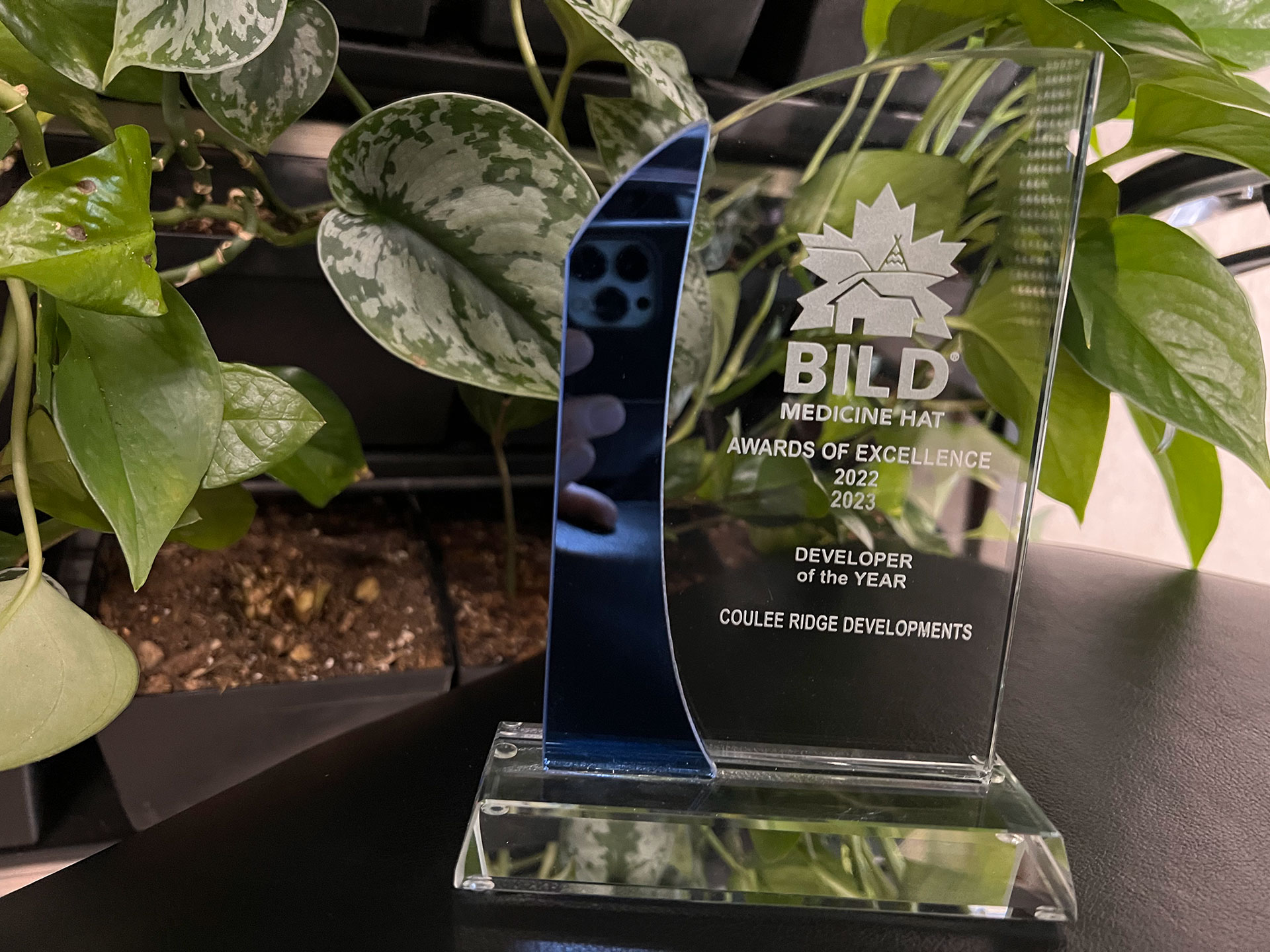 Developer of the year